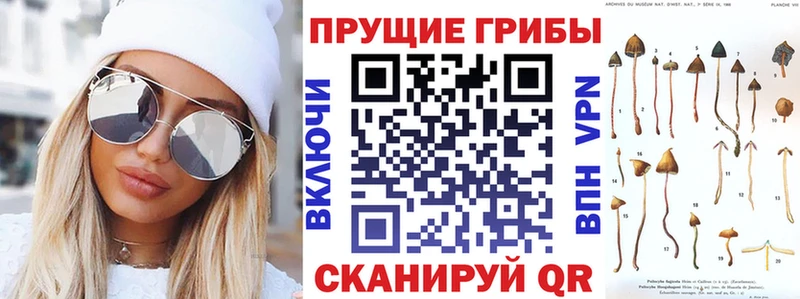 Псилоцибиновые грибы мицелий Фокино